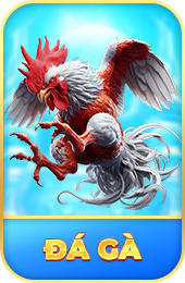 Đá gà tại 58win