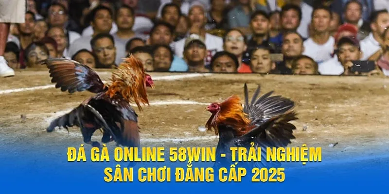 Đá gà online 58WIN - Trải nghiệm sân chơi đẳng cấp 2025