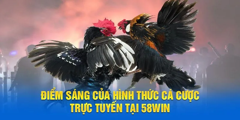 Điểm sáng của hình thức cá cược trực tuyến tại 58WIN