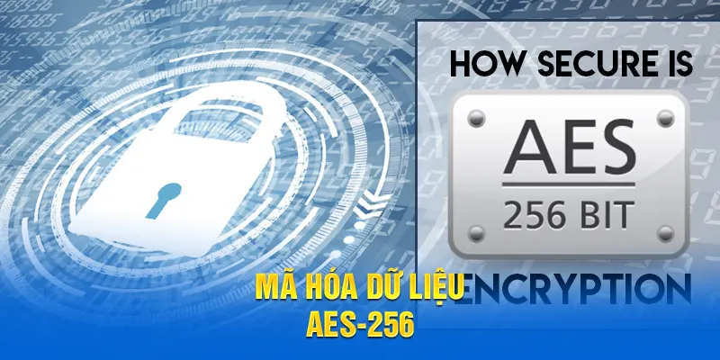 Mã hóa dữ liệu AES-256 tại chính sách bảo mật 58WIN