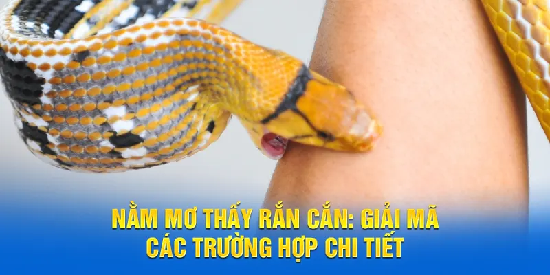 Cùng 58WIN giải mã nằm mơ thấy rắn cắn